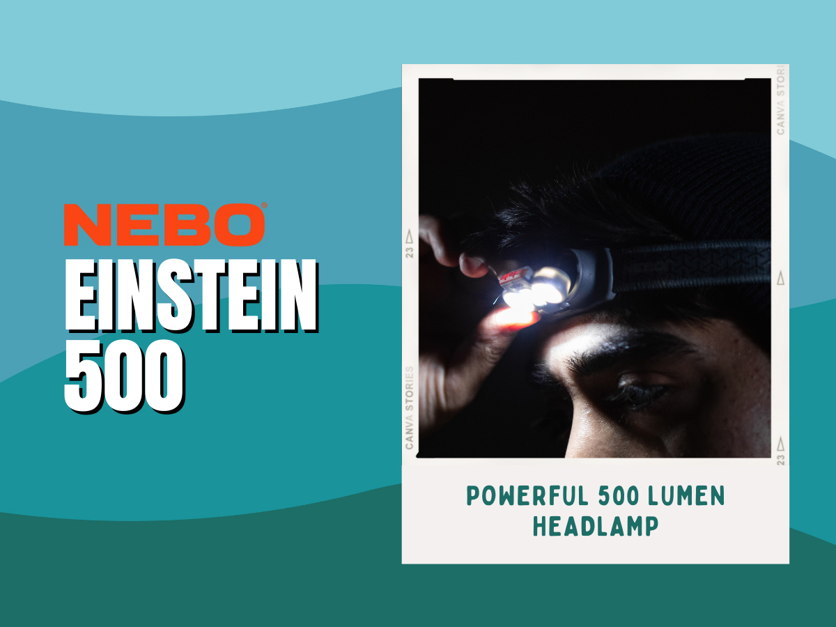 EINSTEIN-500