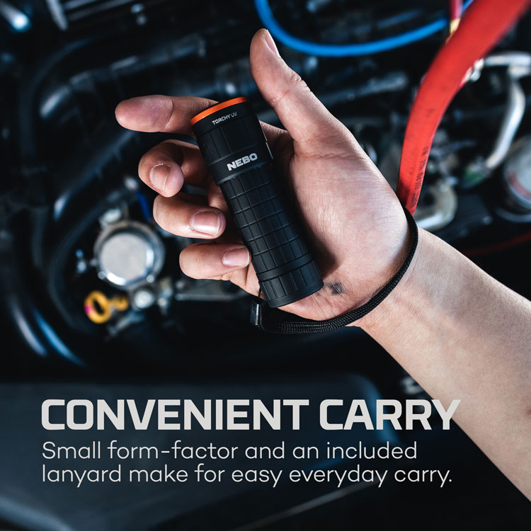 NEB-FLT-1061_Torchy-UV_004