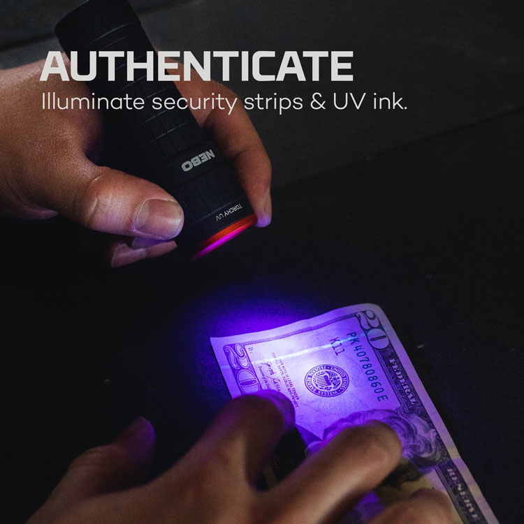 NEB-FLT-1061_Torchy-UV_005